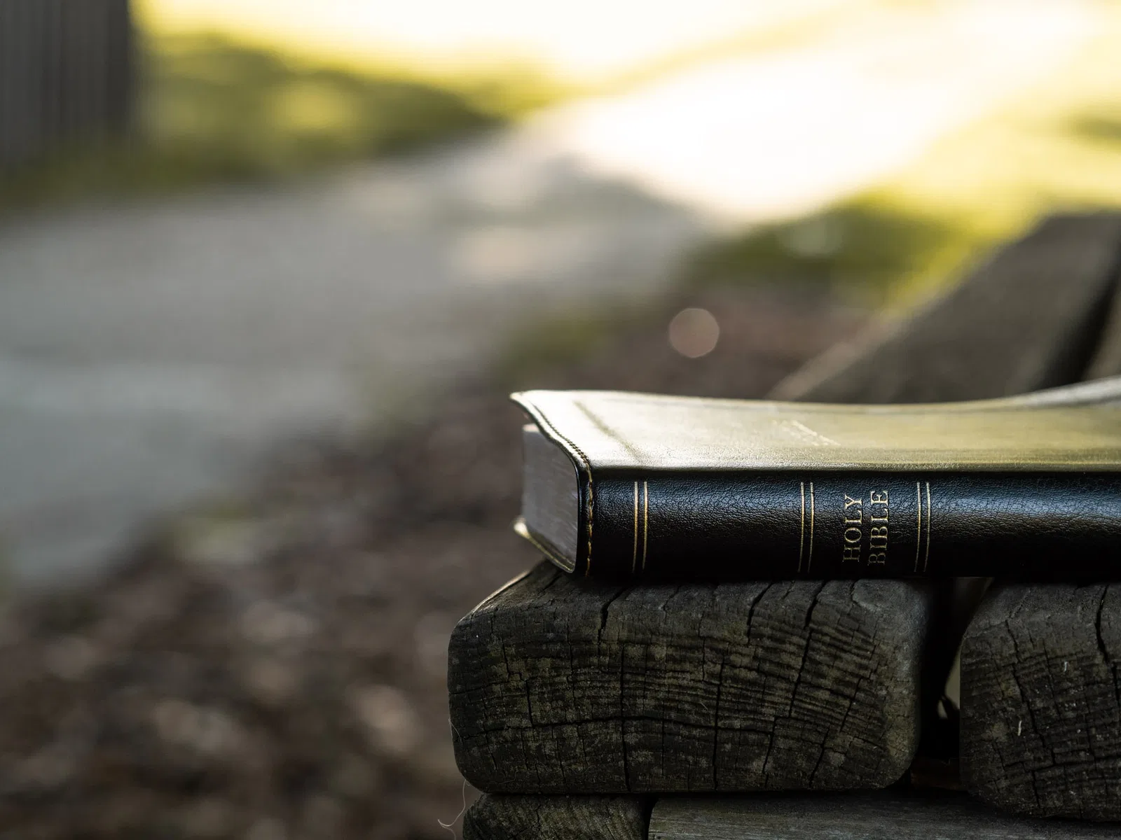 Holy Bible on black wooden bench