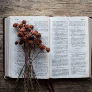 brown flower and book