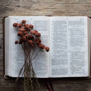 brown flower and book