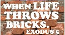 When Life Throws Bricks