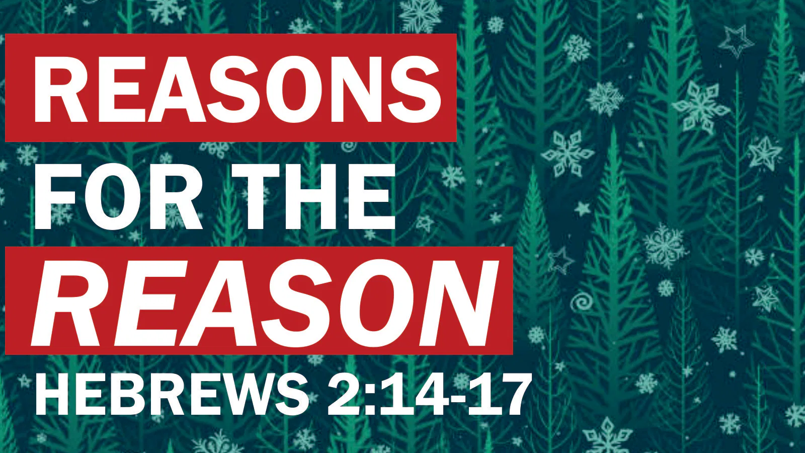 Reasons for the Reason